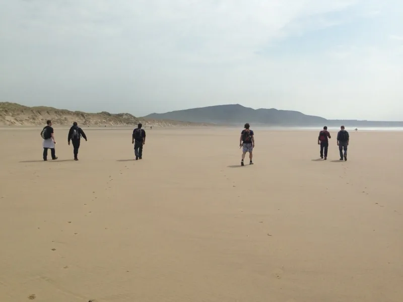 The Gower, January 2017
